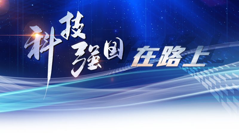 数据治理平台选型，企业IT决策者的四大关键考量